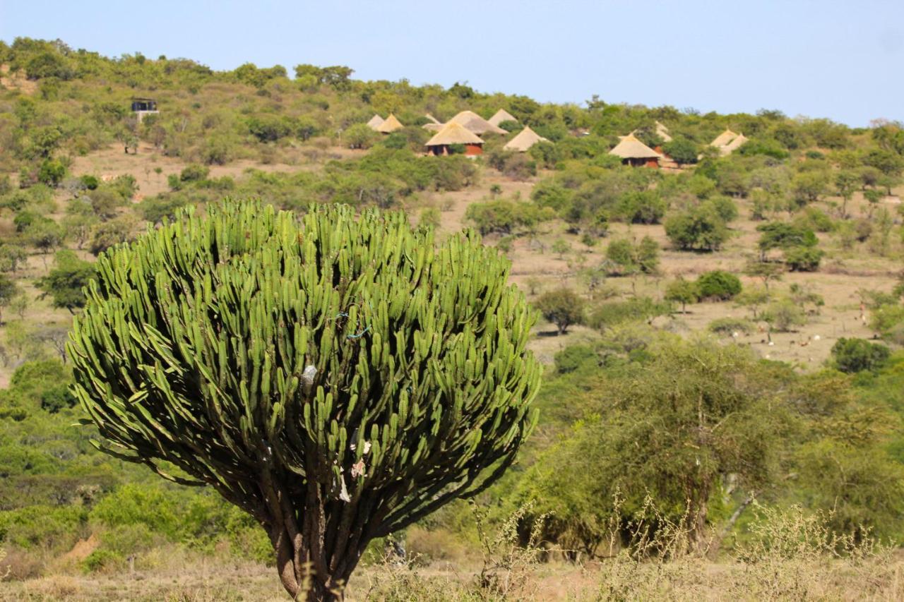 סרנגטי Africa Safari Maasai Boma Camping מראה חיצוני תמונה