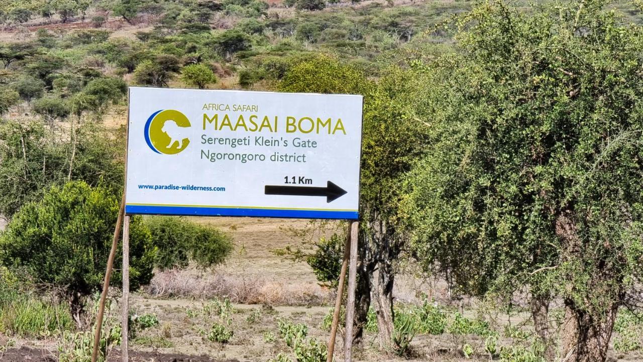 סרנגטי Africa Safari Maasai Boma Camping מראה חיצוני תמונה